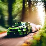 8^ rally  di santo Stefano Belbo